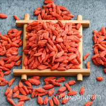 Biologische superfood goji bessen in de fabriek